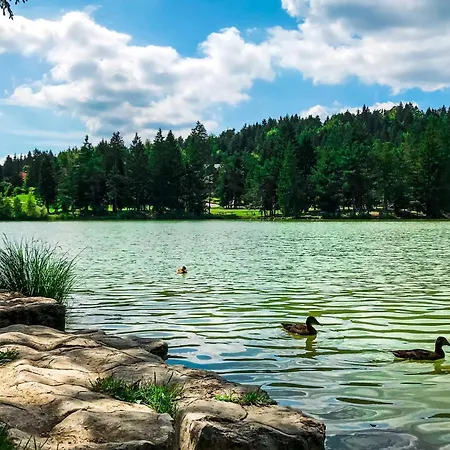 House Fortin With Sauna Near Bloke - Happy Velike Bloke