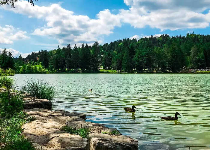 House Fortin With Sauna Near Bloke - Happy Velike Bloke